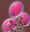 Biotech2_06
