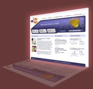 Web-Design_01